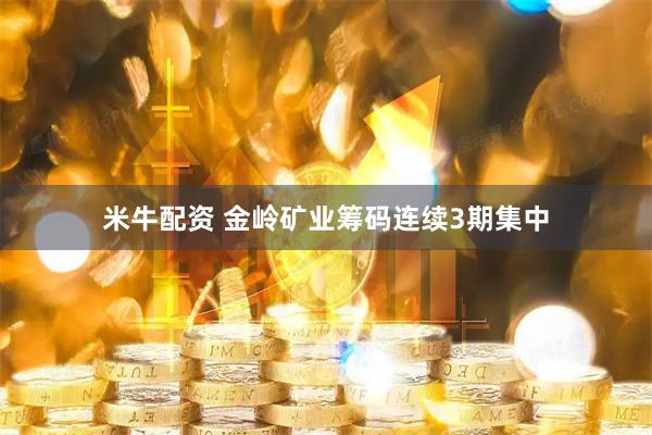 米牛配资 金岭矿业筹码连续3期集中