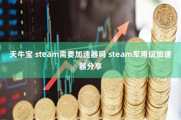 天牛宝 steam需要加速器吗 steam军用级加速器分享